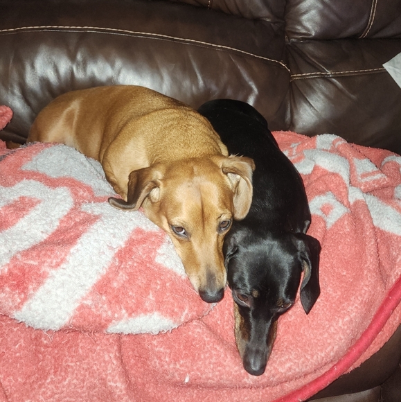 *Meet Your Posher!* - Picture 7 of 7